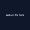 Webcam Pro Jaune fiche