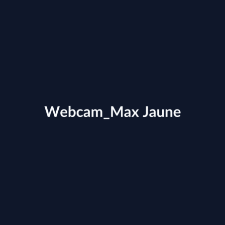 Webcam Max Jaune fiche