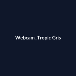 Webcam Tropic Gris fiche