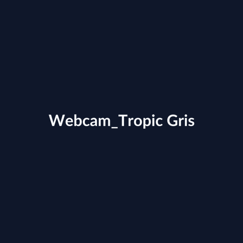 Webcam Tropic Gris fiche