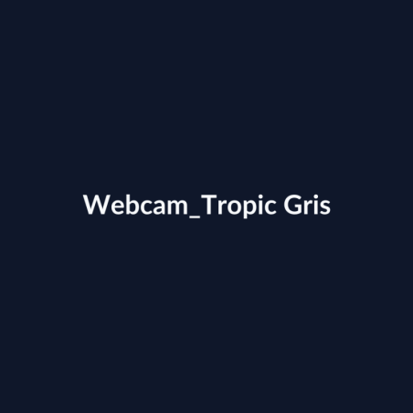 Webcam Tropic Gris fiche