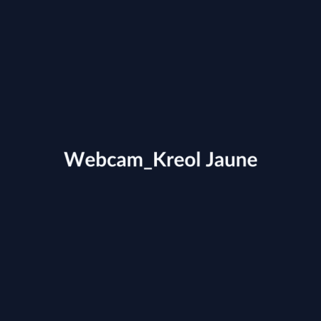 Webcam Kreol Jaune fiche