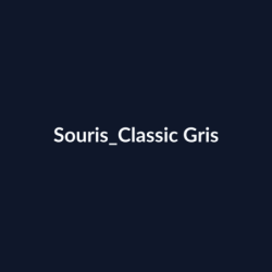 Souris Classic Gris fiche