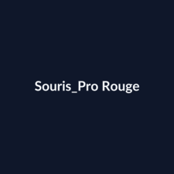 Souris Pro Rouge fiche
