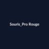 Souris Pro Rouge fiche