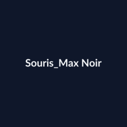Souris Max Noir fiche