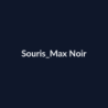 Souris Max Noir fiche