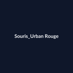 Souris Urban Rouge fiche