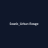 Souris Urban Rouge fiche