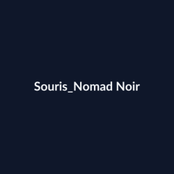 Souris Nomad Noir fiche