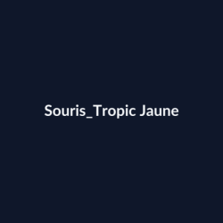 Souris Tropic Jaune fiche