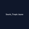 Souris Tropic Jaune fiche