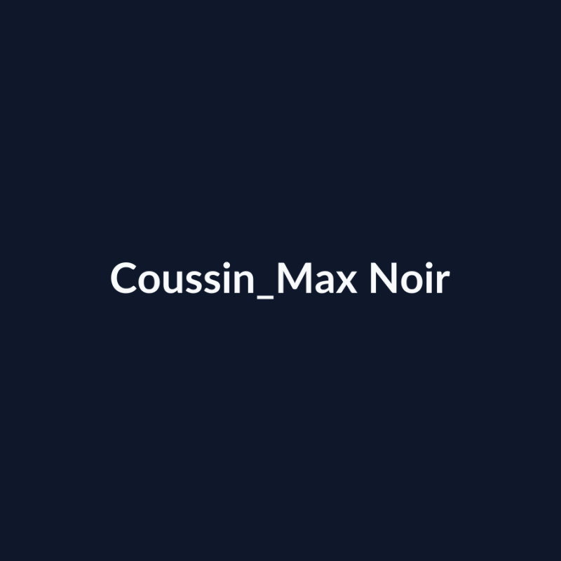 Coussin Max Noir fiche