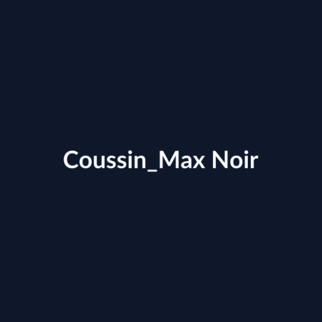 Coussin Max Noir fiche