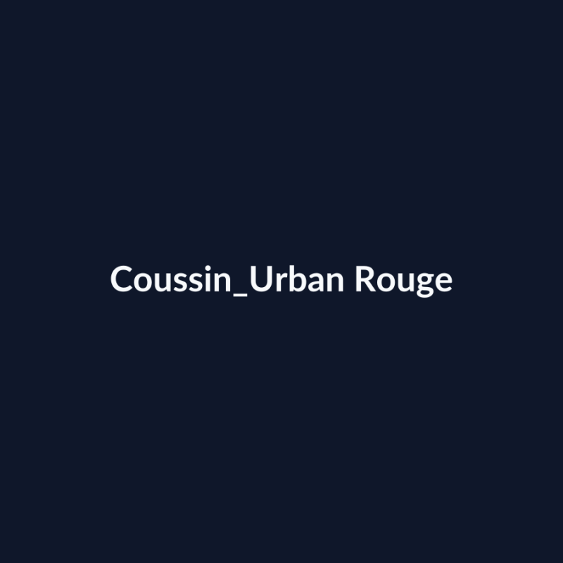 Coussin Urban Rouge fiche