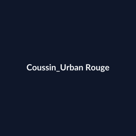Coussin Urban Rouge fiche