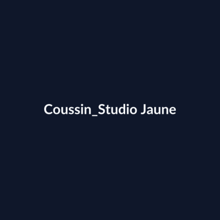 Coussin Studio Jaune fiche