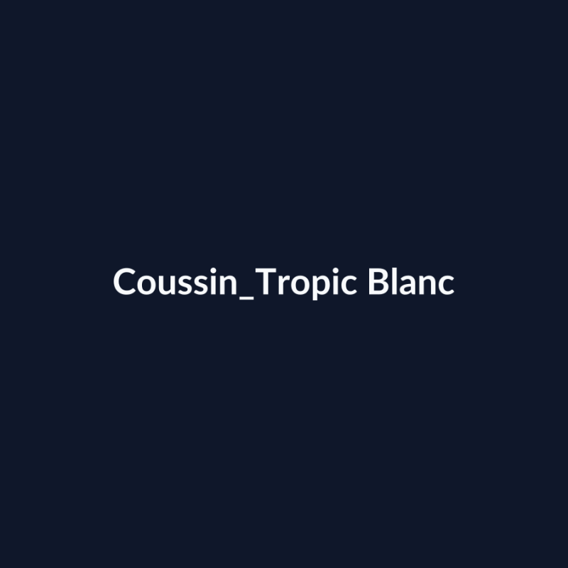 Coussin Tropic Blanc fiche