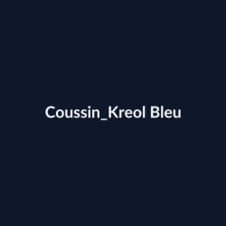 Coussin Kreol Bleu fiche