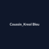 Coussin Kreol Bleu fiche