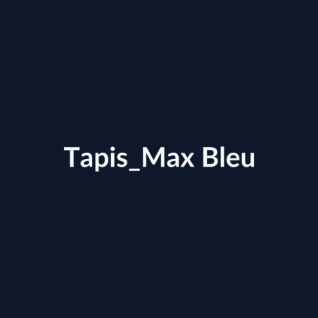 Tapis Max Bleu fiche