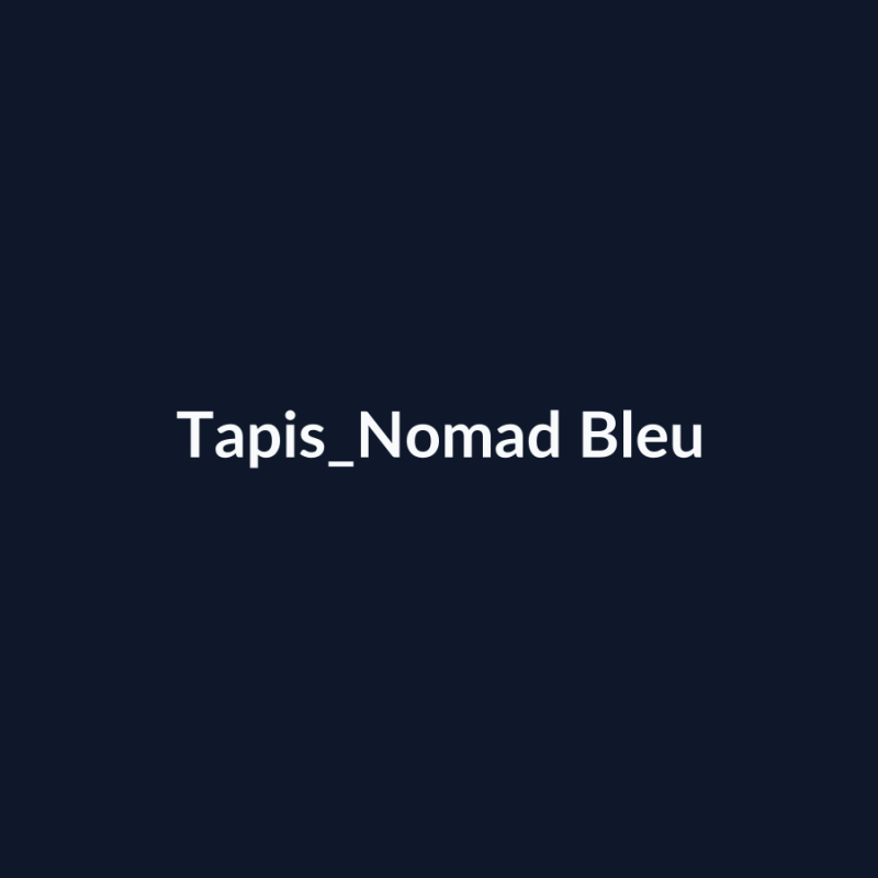 Tapis Nomad Bleu fiche