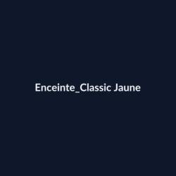 Enceinte Classic Jaune fiche