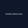 Enceinte Classic Jaune fiche