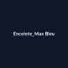 Enceinte Max Bleu fiche