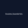 Enceinte Essential Gris fiche