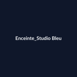Enceinte Studio Bleu fiche