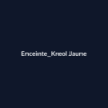 Enceinte Kreol Jaune fiche