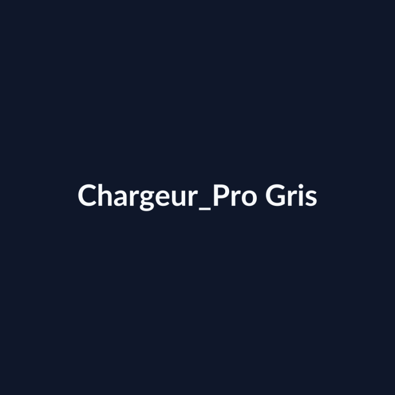 Chargeur Pro Gris fiche