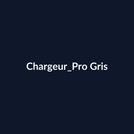 Chargeur Pro Gris fiche