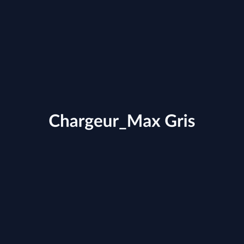 Chargeur Max Gris fiche