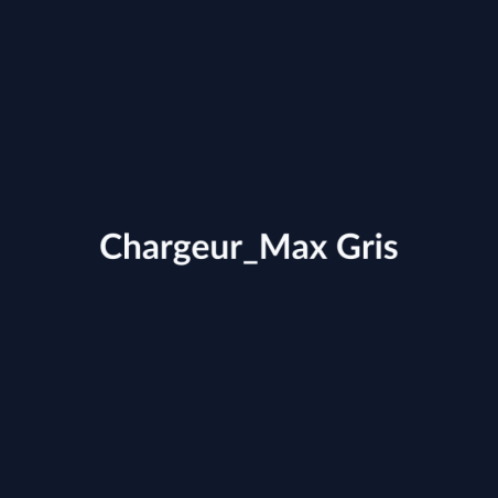 Chargeur Max Gris fiche