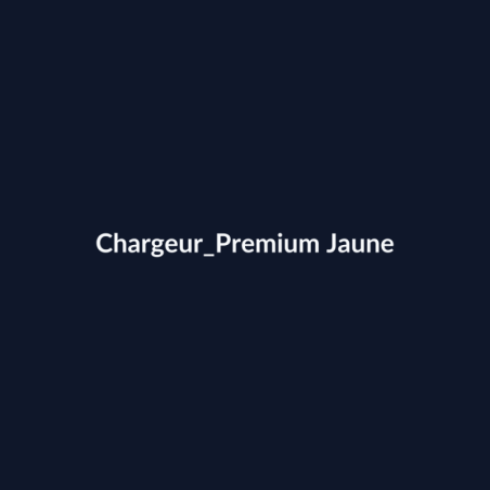 Chargeur Premium Jaune fiche
